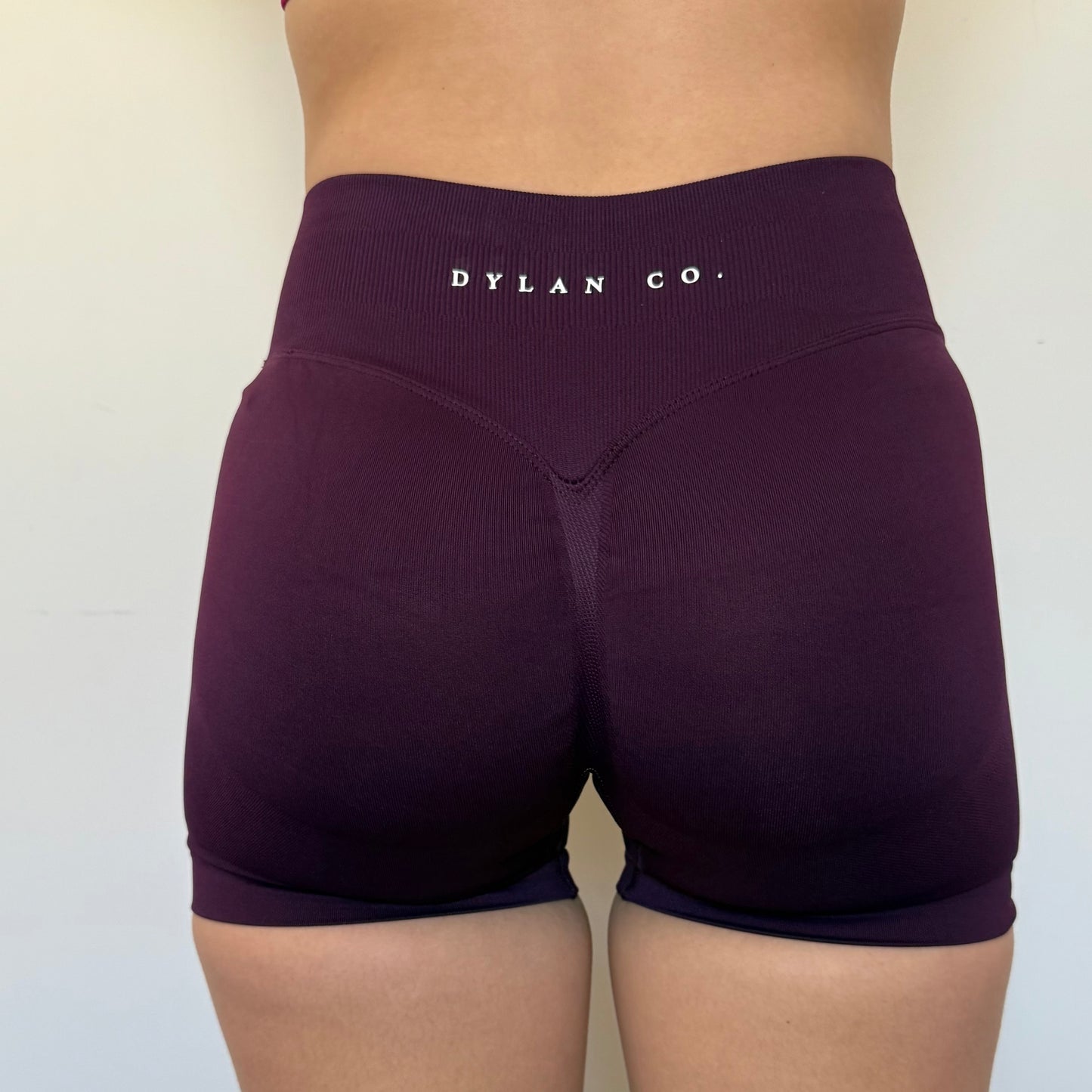 Impact Shorts - Plum